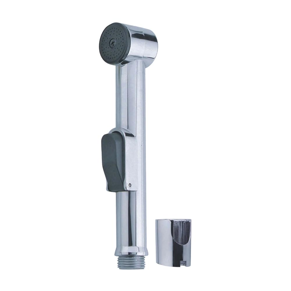 Pommeau de douche moderne en ABS pour rénover et moderniser votre espace bain
