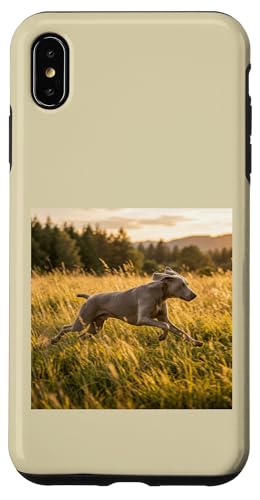 Weimaraner �����j���O���h�E �T���Z�b�g �t�B�[���h �V�[�� �X�}�z�P�[�X iPhone XS Max �p