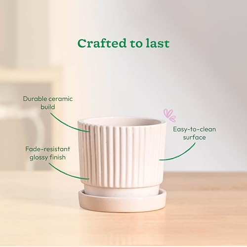 Image of UGAOO Roma Ceramic Pot |Indoor Ceramic Planter for Home, Office, Garden, Balcony - White (4 Inch)