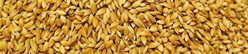 Navya Agriallied Rice Paddy Seed for Birds 2 kg (B07TSRXPQ1) Amazon Price History, Amazon Price Tracker