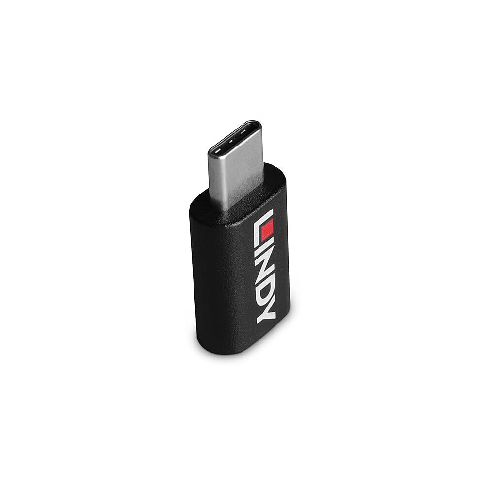 Lindy - Bloc de données USB 3.2 Type C vers C 100 W