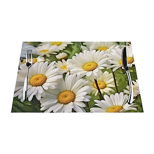 Sets de table imperméables en PVC résistant à la chaleur | Tapis de table isolant durable - 2