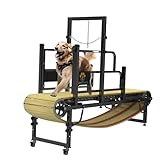 PawPaw's Dog Treadmill for Large Dogs, Medium Dogs with Brake. Dog Slatmill for Healthy & Fit Dog Life, Dog Treadmill for Indoor & Outdoor (Upgraded Medium(Brake and Plastic Track))