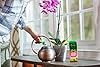 Miracle-Gro Water Soluble Orchid Food, Plant Fertilizer, 8 oz. #1