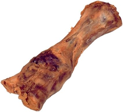dog foot bones