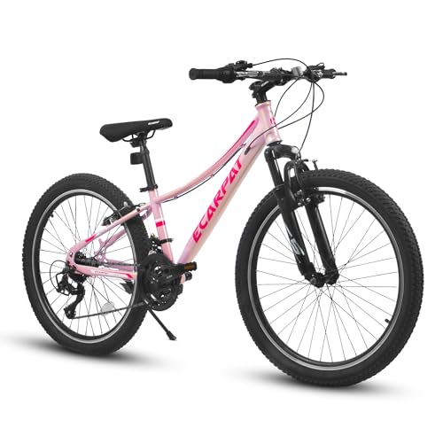 Ecarpat mountain bike image
