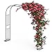 Xverycan Arco da Giardino, 240x240cm Arco in Metallo per Rose Piante Rampicanti, 1,2m 1,8m 2,4m Tre Larghezze Regolabili, Pergola da Giardino, Decorazione per Feste immagine