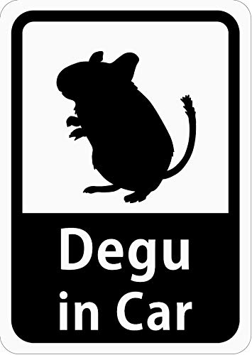 Degu in Car 「デグー」 車用ステッカー (マグネット) s27
