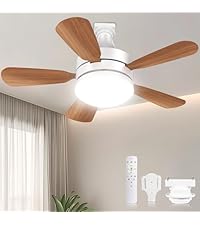Amazon.co.jp : SUKITEN シーリングファンライト 8-10畳 Φ81cm 【2026