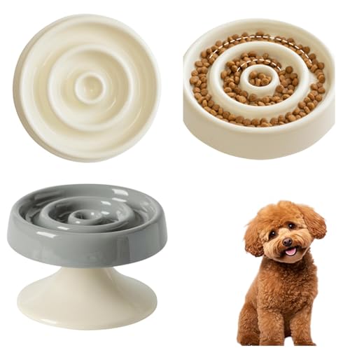 Lifetips ^Cj[v[h ^Cj[v[ Lp X[t[h{E ؐ Hh~ ~ HZbg ^ L  􂢂₷ i-̌^^CvO[j