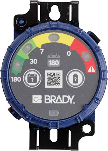 Brady® Inspection Timer with LED Lights 180 Days Pack of 10 Each