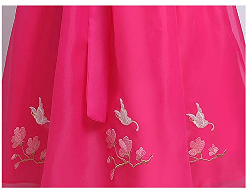 Korean Traditional Hanbok for Girls Birthday Party Korean National Girl Dolbok2