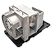 CTLAMP 1026952 Replacement Projector Lamp 1026952 Compatible Bulb with Housing Compatible with SmartBoard U100 U100w UF100 UF100w