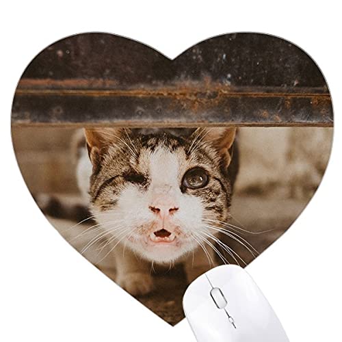 Tapis de souris en forme de coeur chat drôle photo