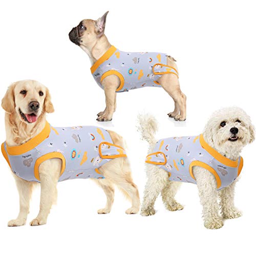 25 Best Onesie for Dog After Surgery To Make Your Pet Look Adorable