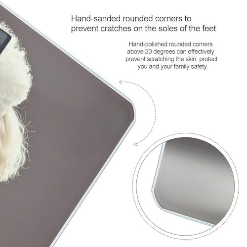 Poodle Báscula Digital para Baño Precisa y Moderna miniatura 4
