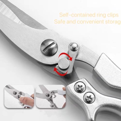 La Mejor Recopilación de Tijeras para aves que puedes comprar esta semana. 27 Imagen adicional