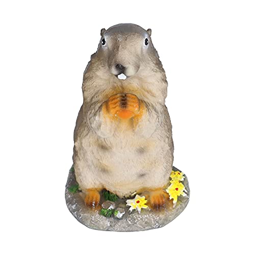 Aramox Petits Ornements en Résine Marmotte, Modèle Animal, Accessoires de Paysage, Artisanat en Résine, Décorations bonsaï pour Salon, Jardin, Chambre à Coucher, Couloir