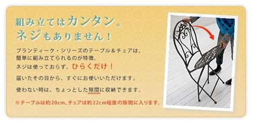 住まいスタイル ブランティーク アイアンチェア 2脚セット (幅42×奥行53×高さ94.5cm) ホワイト SPL-6627WHT-2P(SST) 8枚目