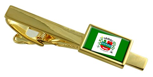 Evita corbatas desalineadas con el clip de corbata de oro de la bandera de Queimados