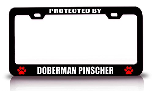 Protetto da Dobermann cane acciaio cornice targa