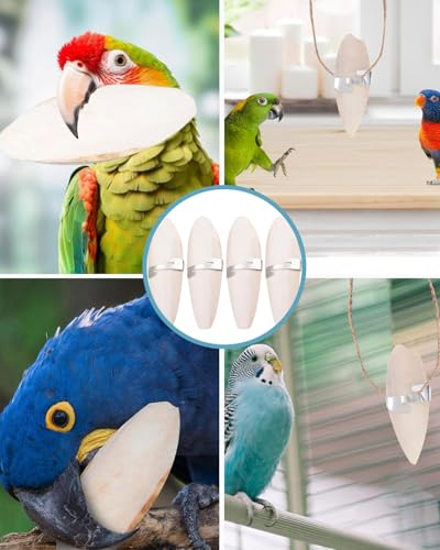 KEMUZ Sepiaschalen für Vögel und Schildkröten, 3 Stück Natürliche Tintenfisch Knochen mit Metallhalter, 11-13cm Kalziumquelle für Wellensittiche, Papageien, Reptilien und Schnecken, Vogelzubehör
