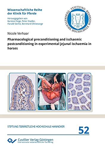 Pharmacological preconditioning and ischaemic postconditioning in experimental jejunal ischaemia in