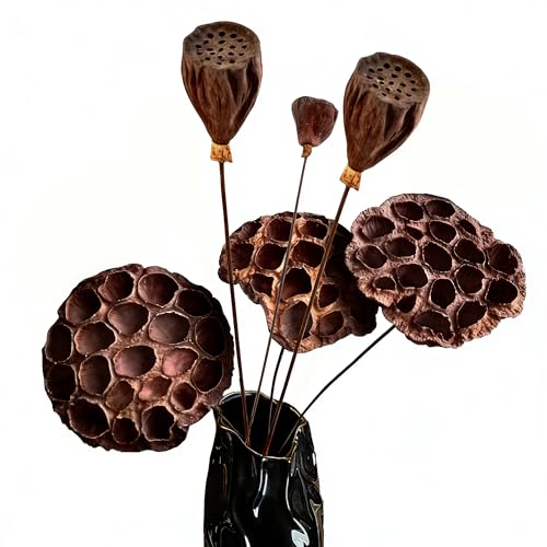 Natural Dried Lotus Pods with Stems 20'' Artificial Long Stems for Home Decor (Mix 3pcs Large and 3pcs Small)