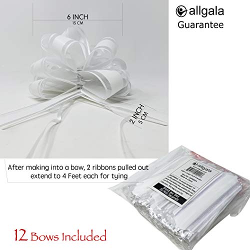 Allgala 12-Pc 6" Large Everyday Pull Bows-White-Gp92021 #TOP1