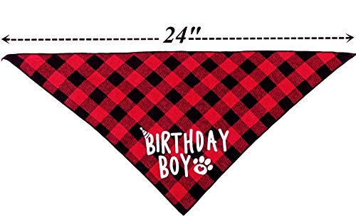 Birthday Boy Dog Bandana #TOP1