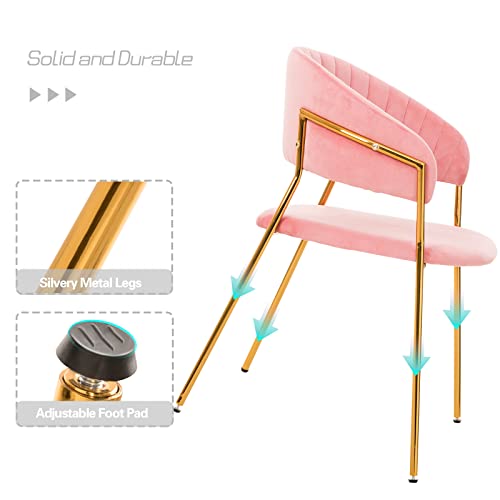 Bowthy Vanity Chair For Makeup Room - Mid Century Modern Accent Chair For Living Room Bedroom, Makeup Chair With Back Support Velvet Chair With Gold Legs (Rose Pink) #TOP5