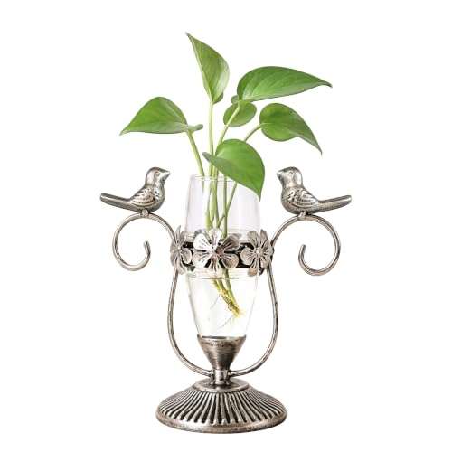 POXOHO Vintage Hydroponics Glass Propagation Vases for Plants, 8.26"×7.9"