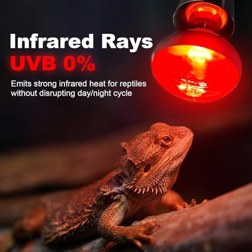 MIXJOY Infrared Heat Lamp Bulbs, 2 Pack 100W Reptile Red Heat Lamp Bulbs Infrared Basking Light Bulbs for Reptiles, Bearded Dragon, Lizard, Tortoise, Chickens, Pets