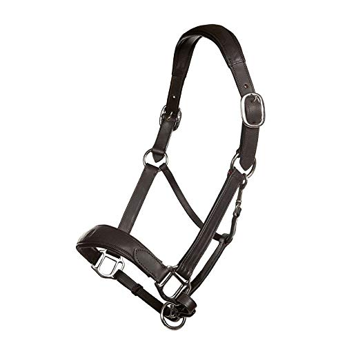 Cabestro de cuero Raun Warmblut HKM Mira para evitar rozaduras en caballos