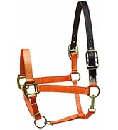 Perri's Premium Nylon Safety Halter
