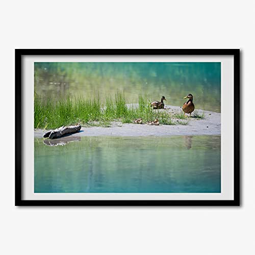 Affiche peinture canards au-dessus de l'eau avec cadre MDF Tulup 70x50 cm décoratif