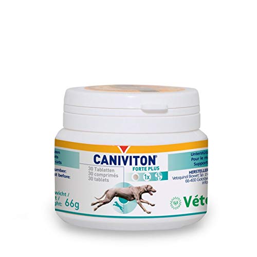 CANIVITON Forte Plus Ergänzungsfuttermittel für Hunde und Katzen 30 Tabletten, 1er Pack (1 x 0.09 kilograms)
