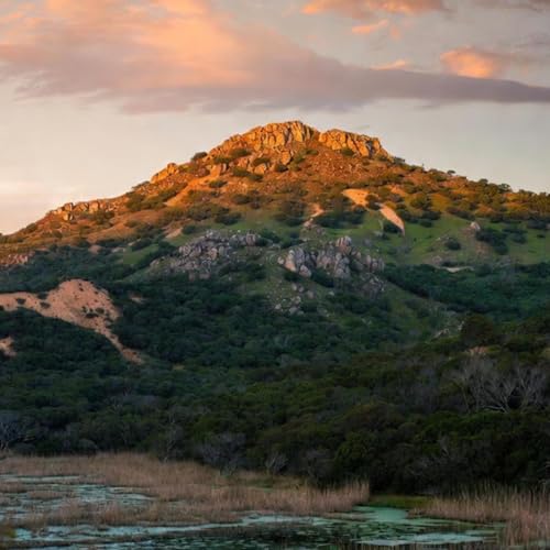 صدى المستنقع: روما قبل الرخام