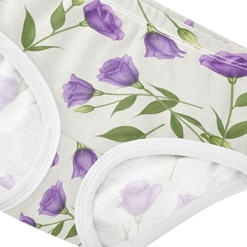 Purple Roses Green Leaves Beige Girls Underwear Toddler 2t Cotton Panties for Girl Artistic Kids Undies Briefs4