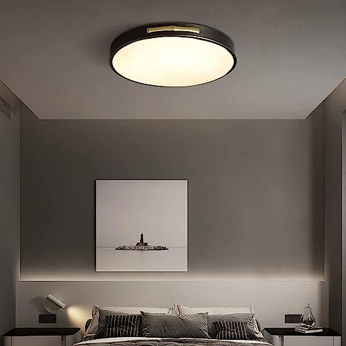 Luz de techo regulable LED de 30cm para iluminar con estilo el salón o dormitorio 3