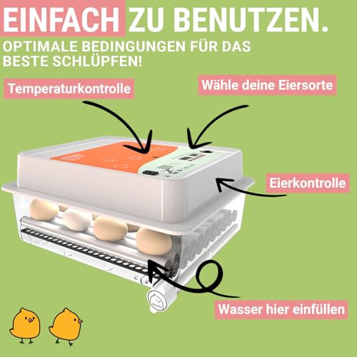 Okköbi OBI-36 Brutautomat Vollautomatisch – Inkubator für 36 Eier mit Automatischem Eierwender - Brutkasten Hühner für Hühnereier, Wachtel und Enteneier - Orange