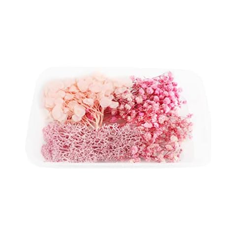 Tomedeks Natural Dried Flowers, Real Dried Embossing Mixes Variety of Dried Leaves Colorful DIY Resin Jewelry Nail Crafts Floral Decor for Scrapbooking (A) Cover