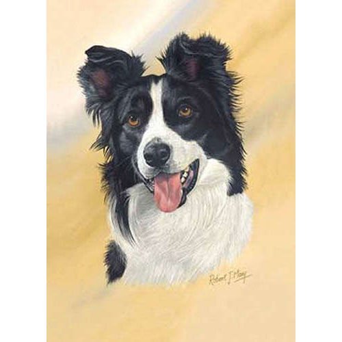 Border Collie Playing Cards - Art by Robert May
