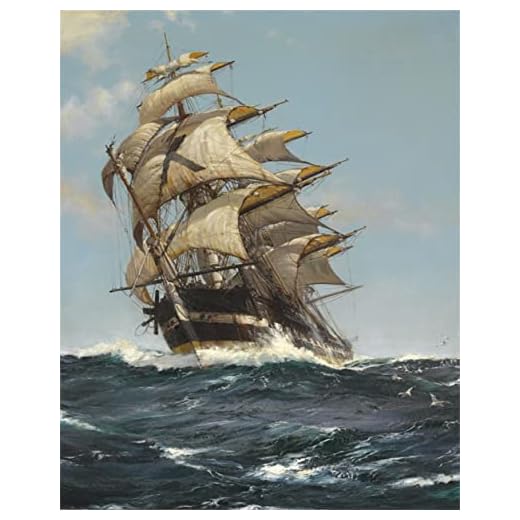Meecaa Malen nach Zahlen Segelmeer Kit für Erwachsene Anfänger DIY Ölgemälde 40,6 x 50,8 cm (Segelboot, kein Rahmen)