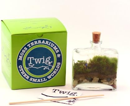 Twig Terrariums Tropisma DIY Terrarium Kit