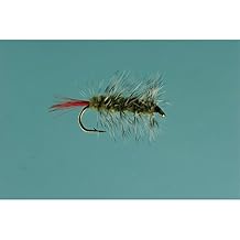 Black Wooly Worm