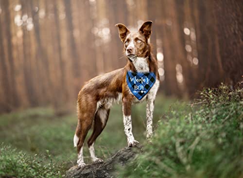 Ntkio Funny Blue Plaid Cotton Mama's Boy Pet Dog Bandana, Pet Dog Gender Reveal Photo Prop Triangle Bibs Accessories For Birthday Wedding Party Pet Dog Lovers Gift #TOP2