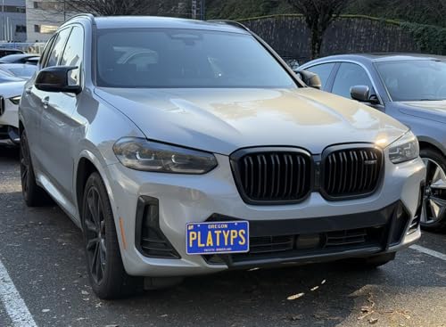 Image of CravenSpeed Platypus License Plate Mount Compatible with BMW X3 2018-2024 [G01] | No Drilling | Installs in Seconds | Made of Stainless Steel & Aluminum | Made in USA