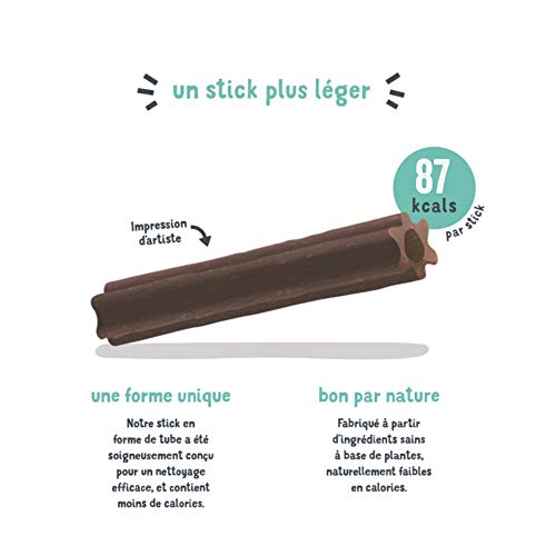 Edgard Cooper Leckerli für Hunde, (Eukalyptus & Apfel, 7 Sticks x 8), groß, Einer pro Tag, kalorienarm, langes, effizientes Kauen, frischer Atem