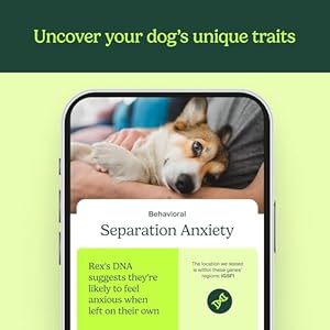 Dog DNA Test by Ancestry: at-Home Testing, Breed Identification & Trait Insights, Canine Genetics Analysis, Unique Pet Parent Gift, New Puppy Essentials Dog DNA Test by Ancestry at Home Testing Breed Identification Trait Insights Canine Genetics Analysis Unique Pet Parent Gift New Puppy Essentials